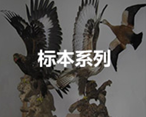 標(biāo)本系列