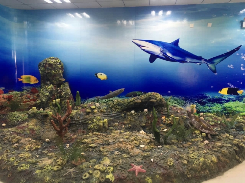 海洋生物標(biāo)本館